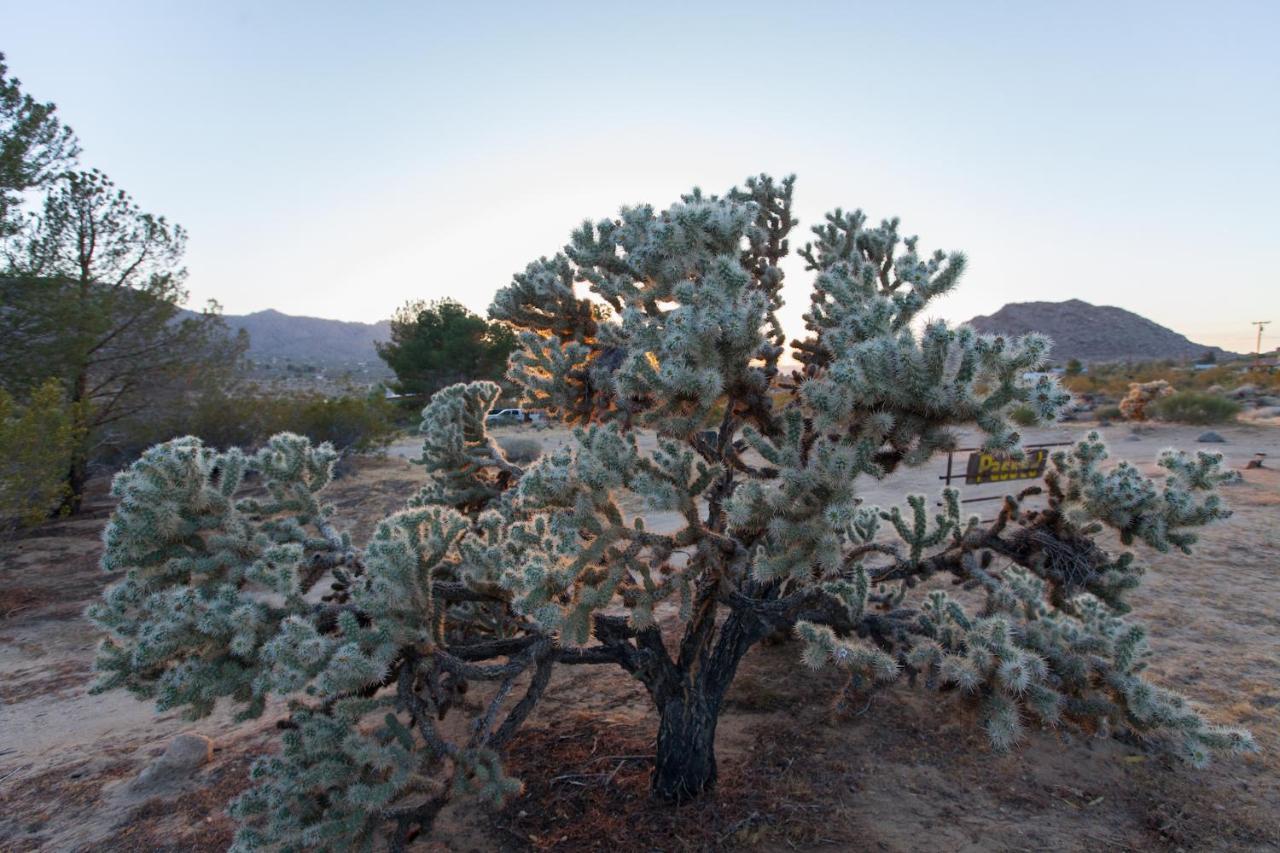 @ Marbella Lane - 10 Acres Oasis Desert Retreat! Joshua Tree Buitenkant foto
