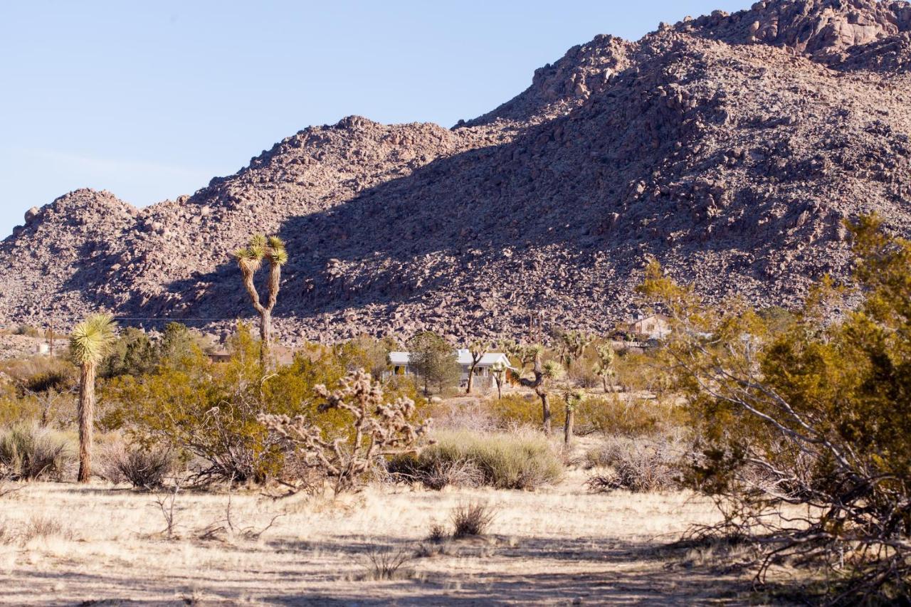 @ Marbella Lane - 10 Acres Oasis Desert Retreat! Joshua Tree Buitenkant foto